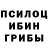 Галлюциногенные грибы Magic Shrooms Roman Uchenov