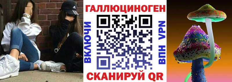 где купить наркотик  Вышний Волочёк  сайты даркнета наркотические препараты  Галлюциногенные грибы GOLDEN TEACHER 